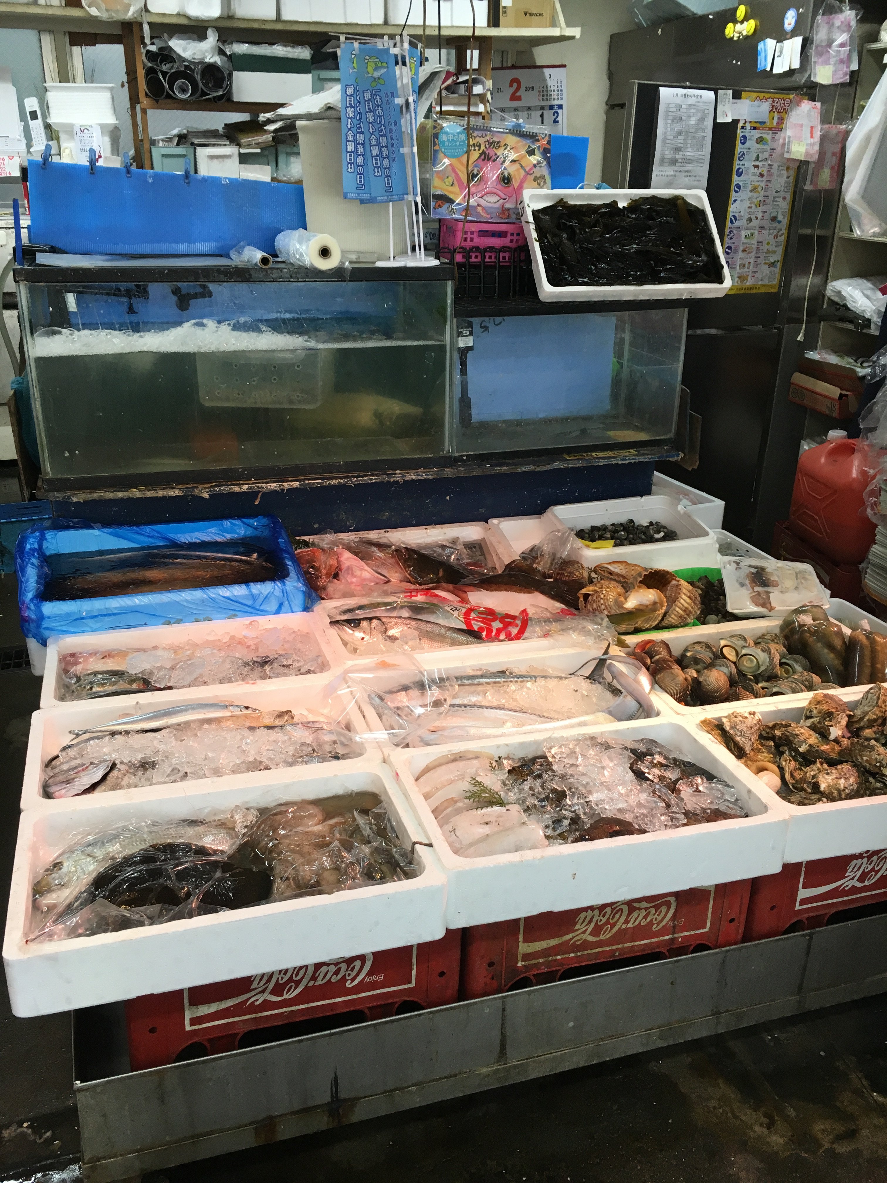 田嶋鮮魚店　料理人御用達　大分市で絶対行くべき鮮魚店　
