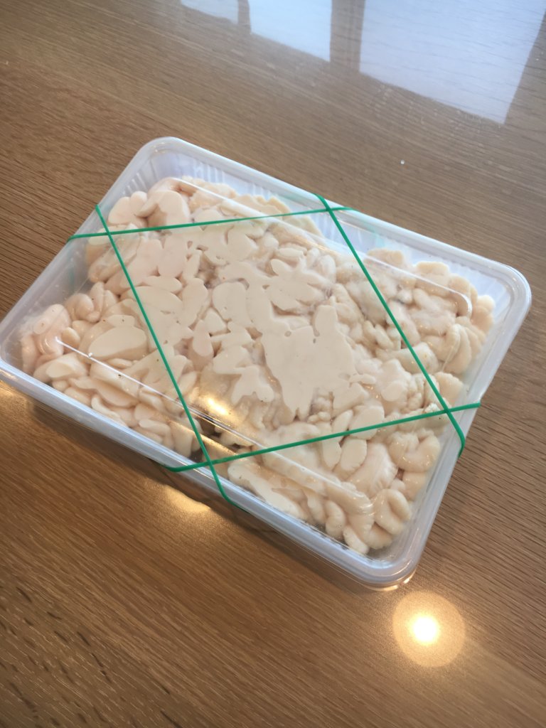 tajimasenjyoten8